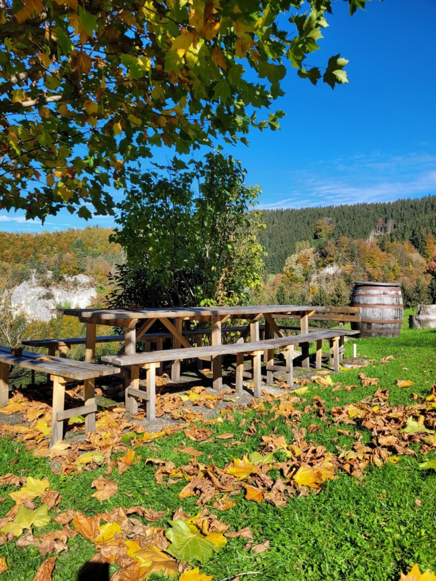 Kraeuterhof Miesrigl Villa Losenstein Dış mekan fotoğraf