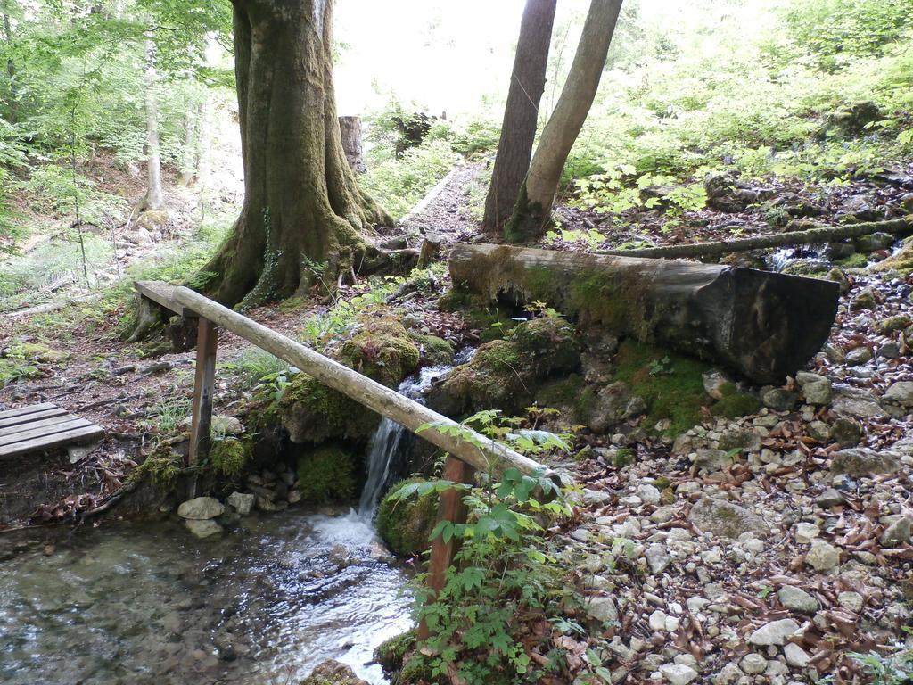 Kraeuterhof Miesrigl Villa Losenstein Dış mekan fotoğraf