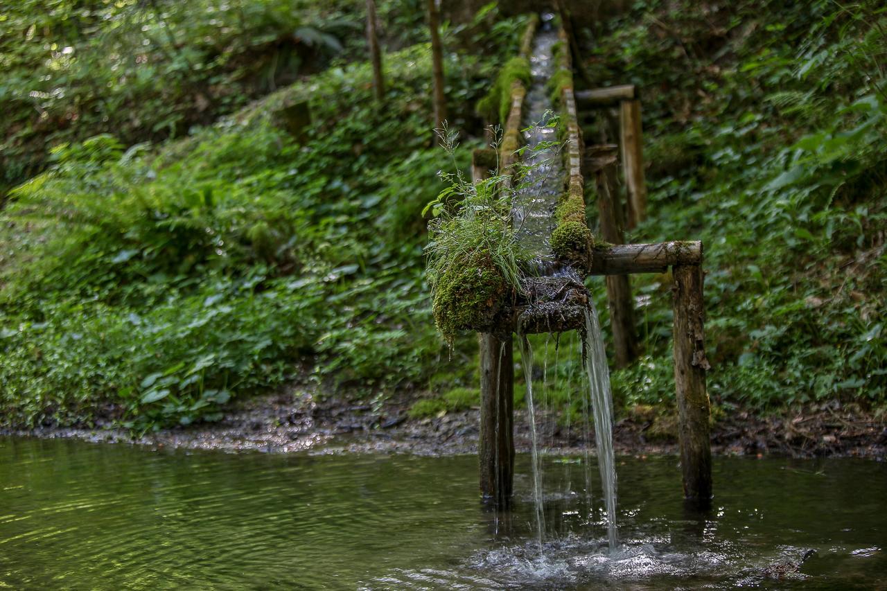 Kraeuterhof Miesrigl Villa Losenstein Dış mekan fotoğraf
