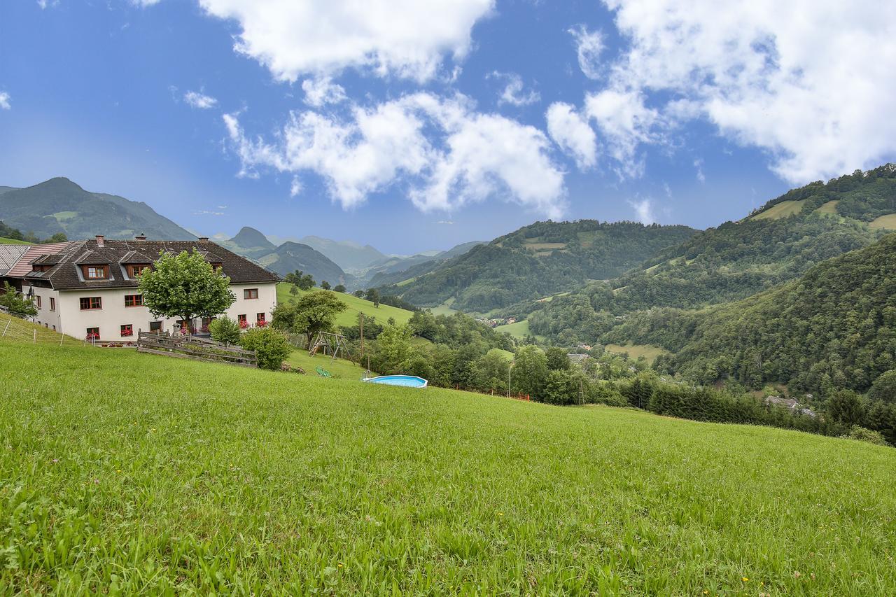 Kraeuterhof Miesrigl Villa Losenstein Dış mekan fotoğraf