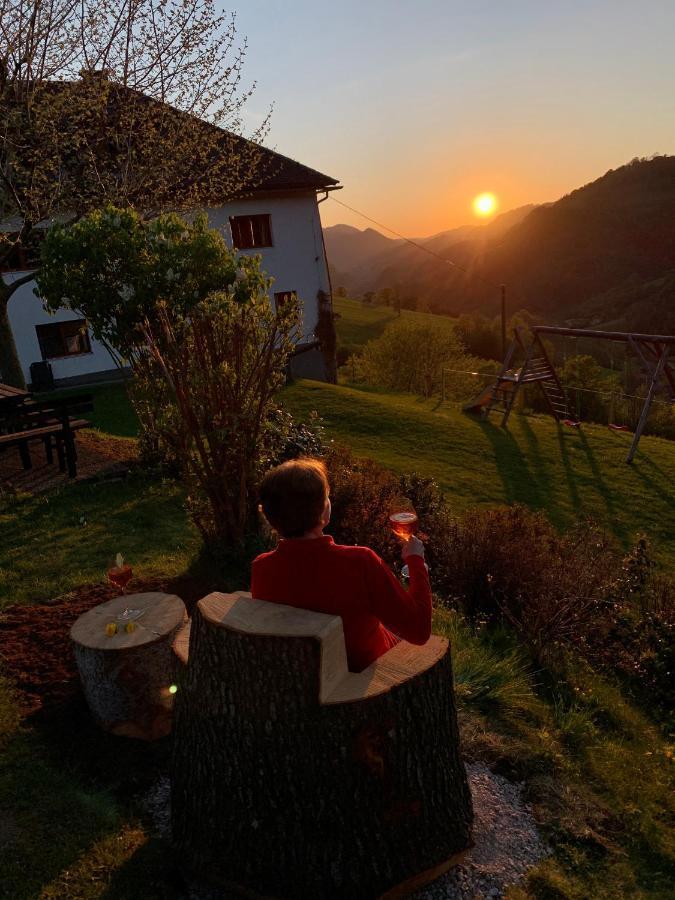 Kraeuterhof Miesrigl Villa Losenstein Dış mekan fotoğraf